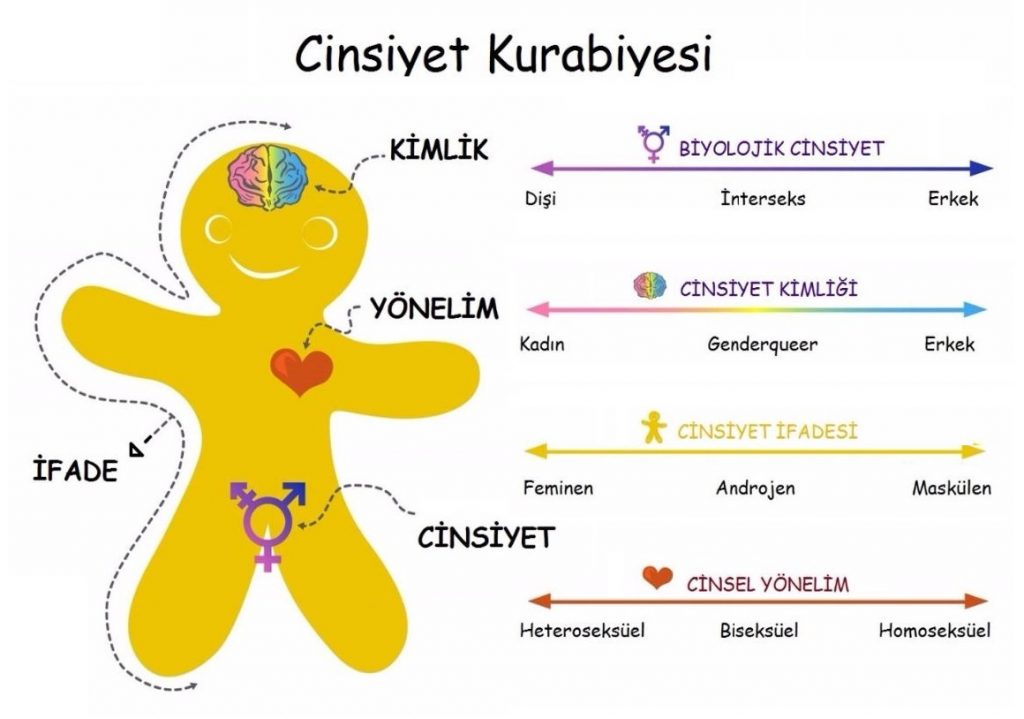 Cinsel Kimlik Hoşnutsuzluğu